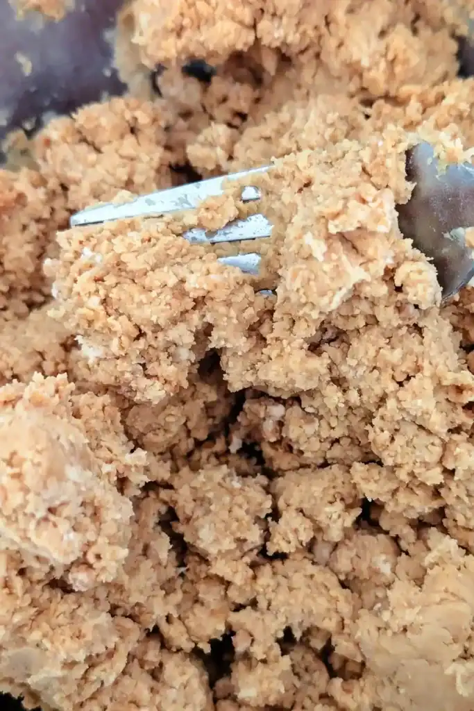 the mixed wowbutter balls dough