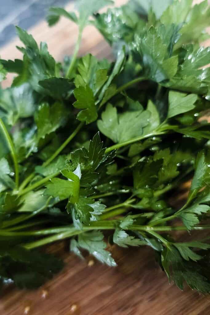 flat leaf parsley
