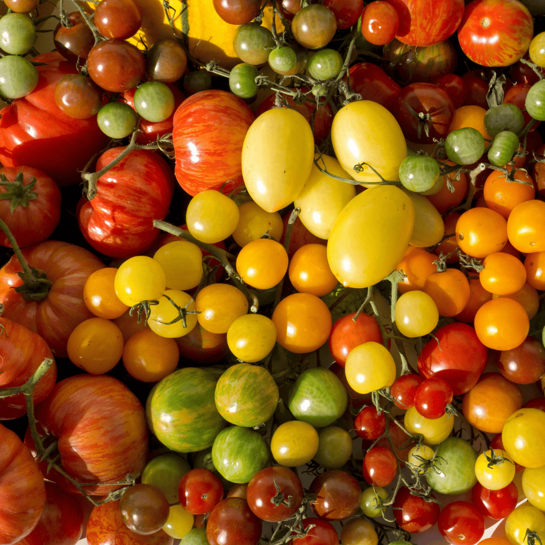 How to Choose Tomatoes for Every Recipe