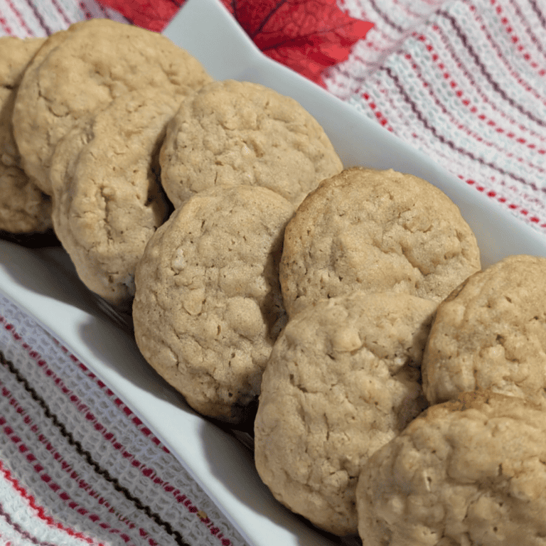 perfectly round cookies baked on white plate